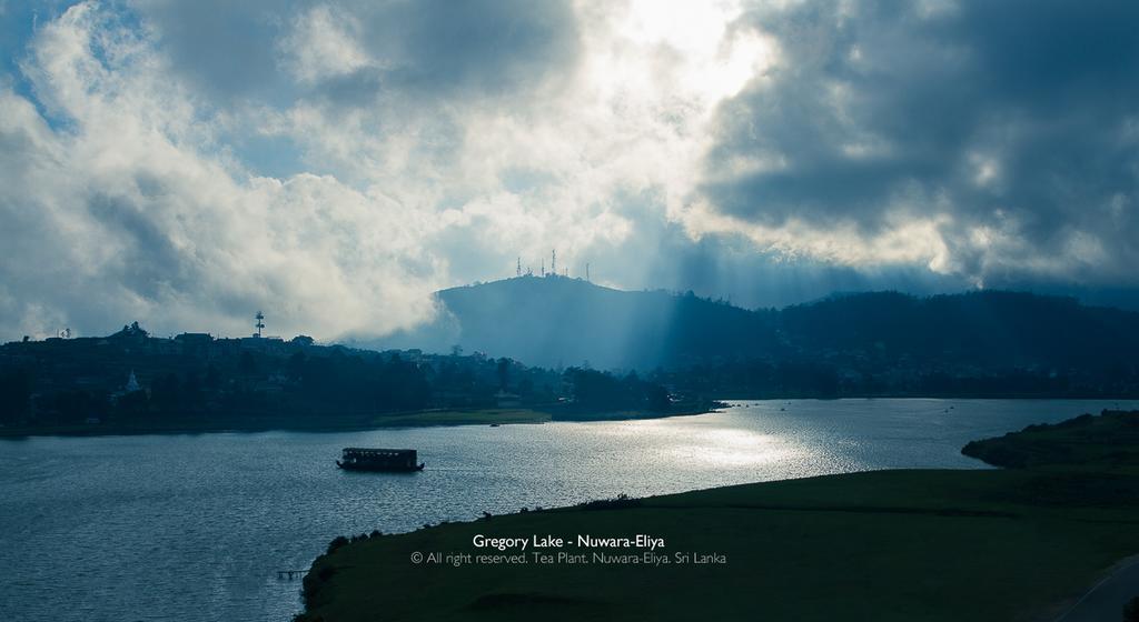 Tea Plant Nuwara Eliya Villa Екстериор снимка