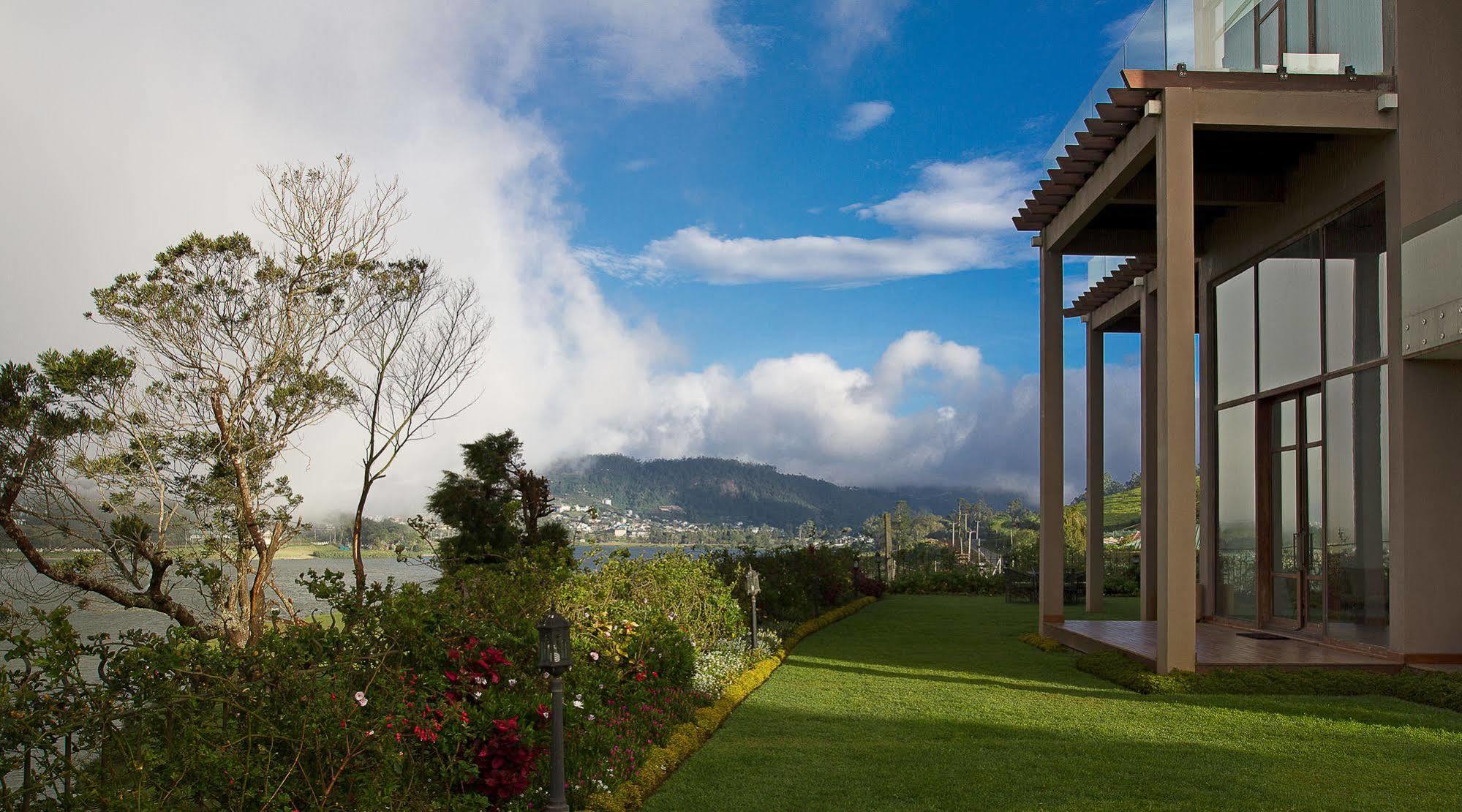 Tea Plant Nuwara Eliya Villa Екстериор снимка